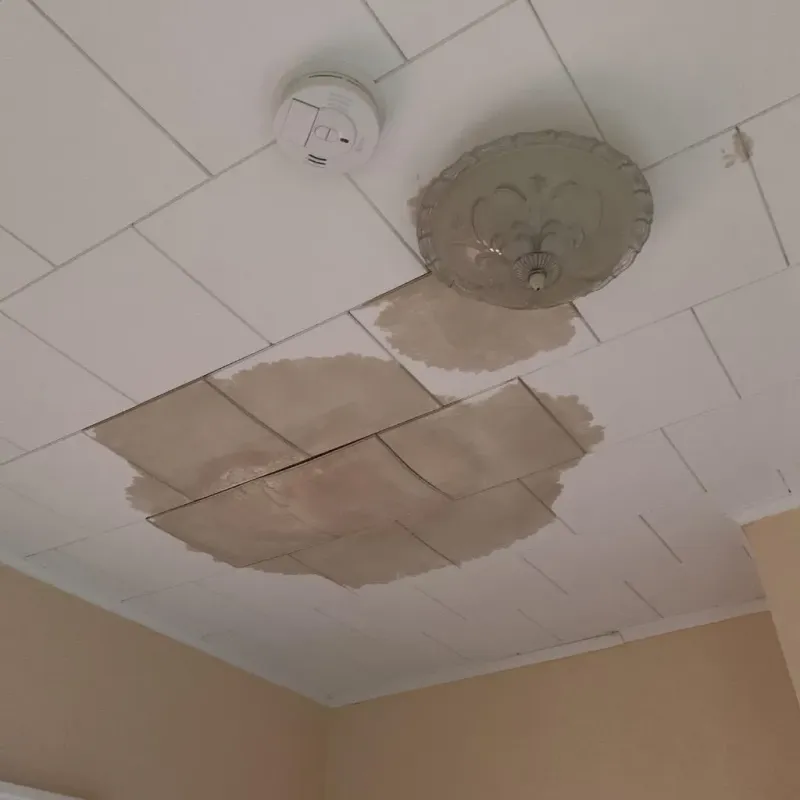Ceiling Water Damage Repair in Manistee, MI