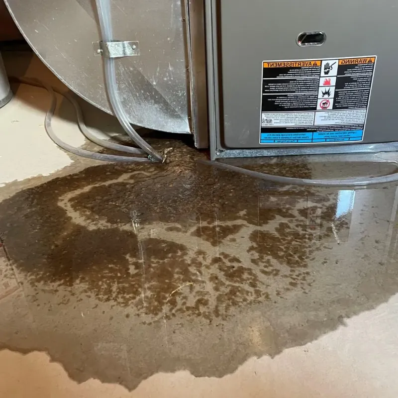 Pipe Burst and Leak Restoration in Manistee, MI