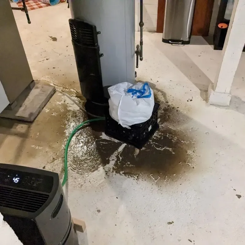 Sewage Backup Cleanup Service in Manistee, MI